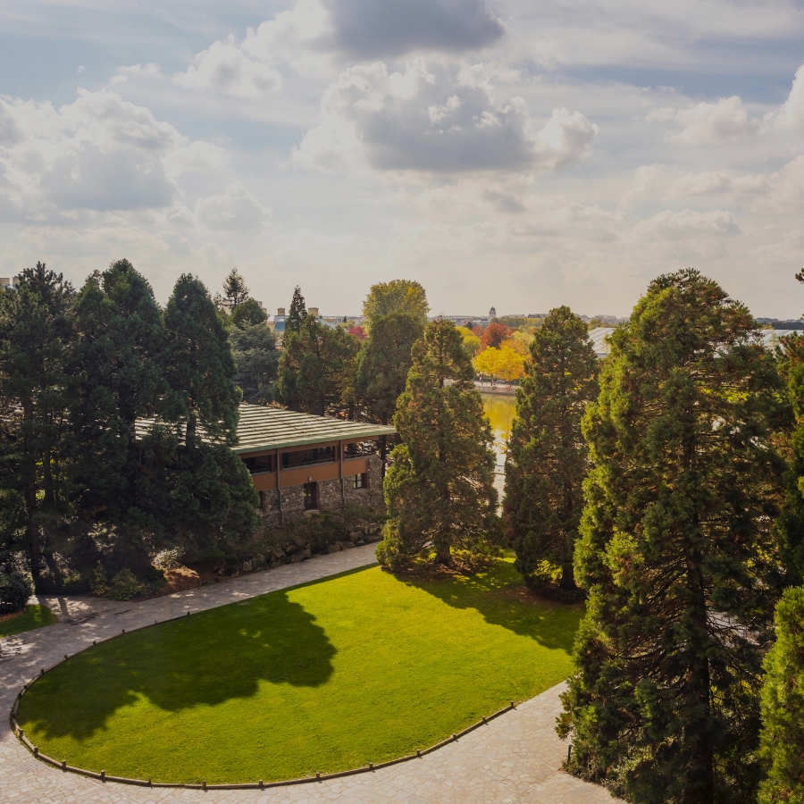 Hotel Sequoia Lodge bewaldetes Gebiet